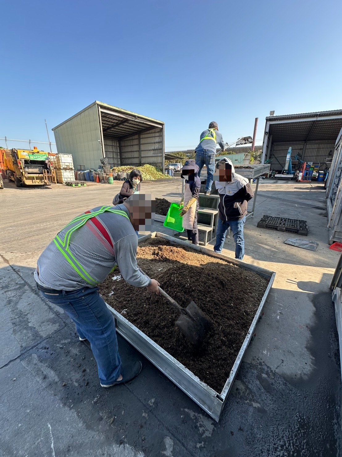 黑水虻現場照片-1