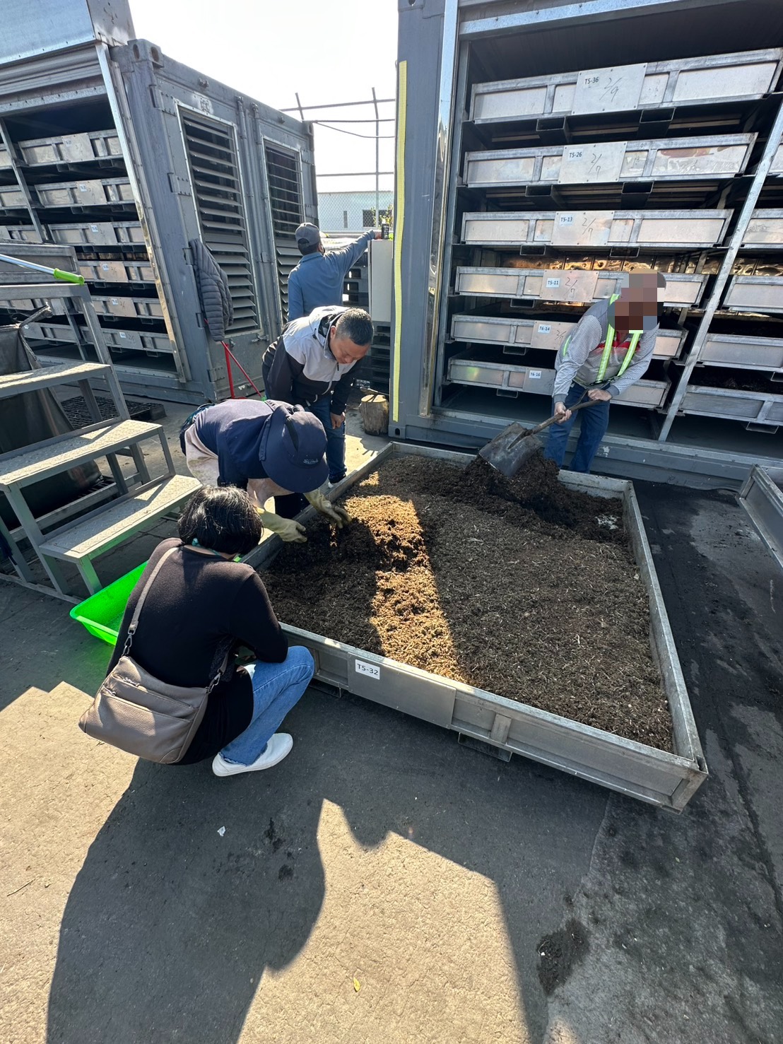 黑水虻現場照片-2