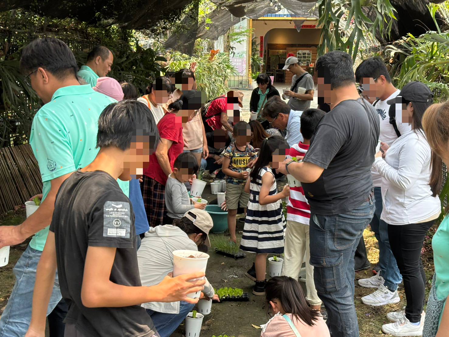 綠手指DIY體驗活動